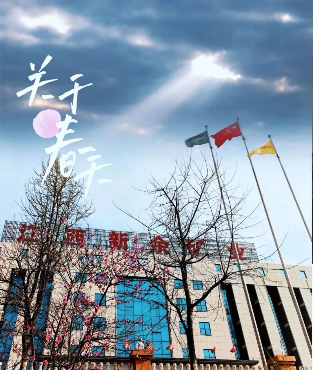 新余江能光伏綜合管理部王俏.jpg